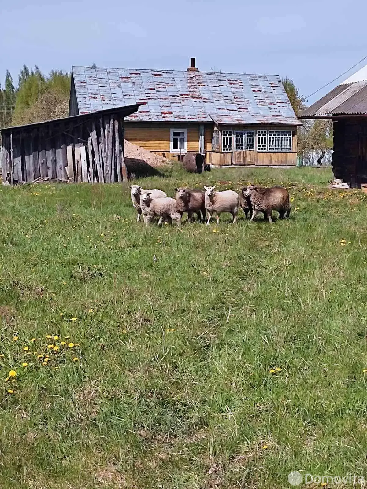 дом, Большие Сонтаки, 