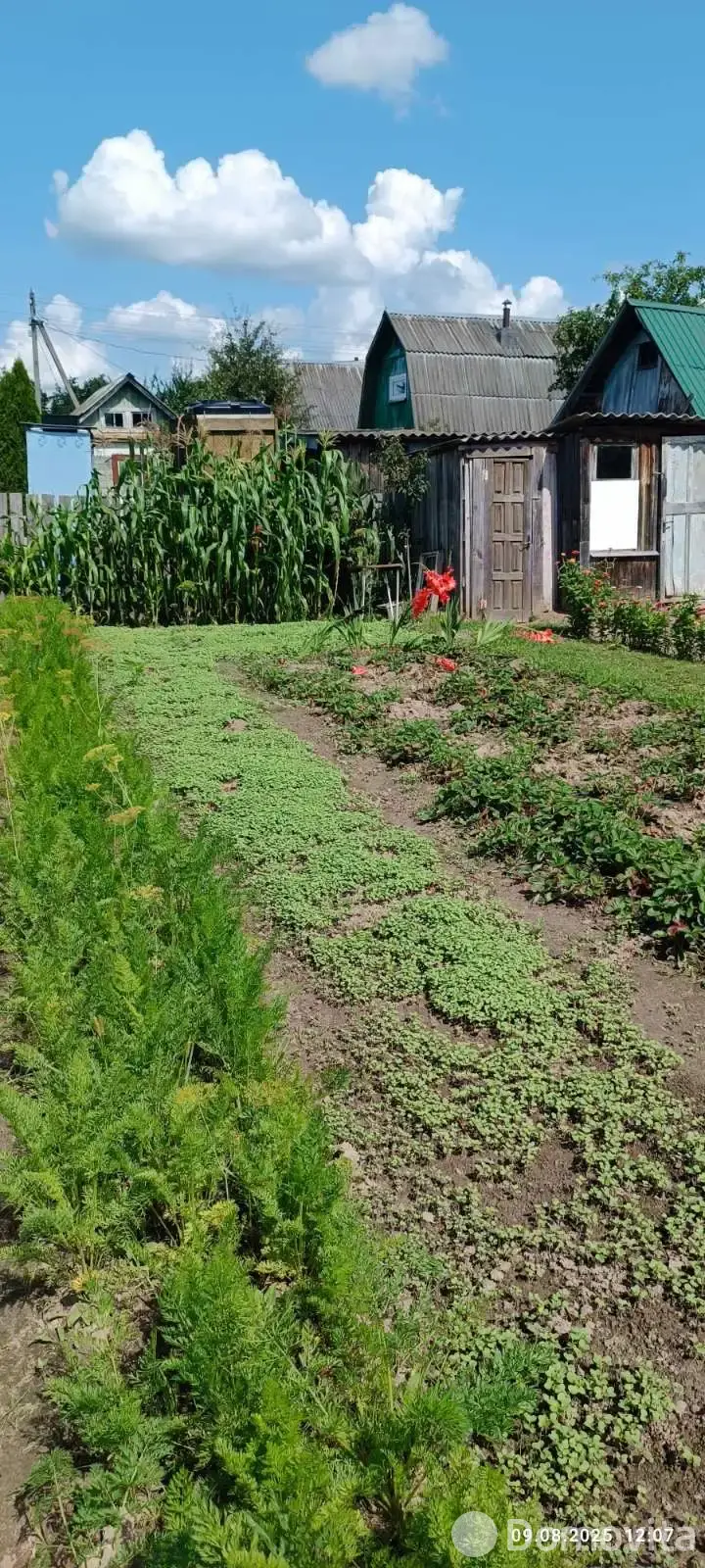 Купить 1-этажную дачу в Зеленая дубрава Гомельская область, 7000USD, код 183757 - фото 15