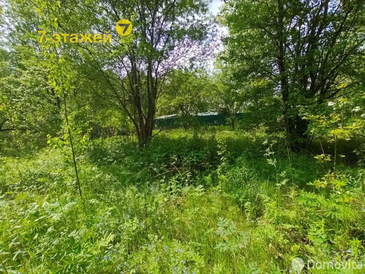 Купить земельный участок, 6.15 соток, ПРОЛЕСКА ЦКБ, Минская область, 7800USD, код 570375 - фото 19