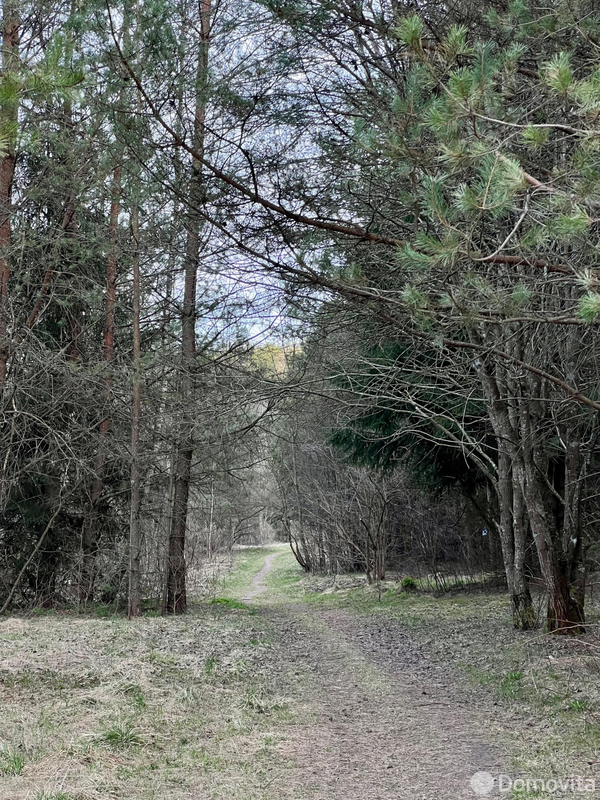 Купить 1-этажную дачу в Зеленый дол Минская область, 35000USD, код 185545 - фото 18