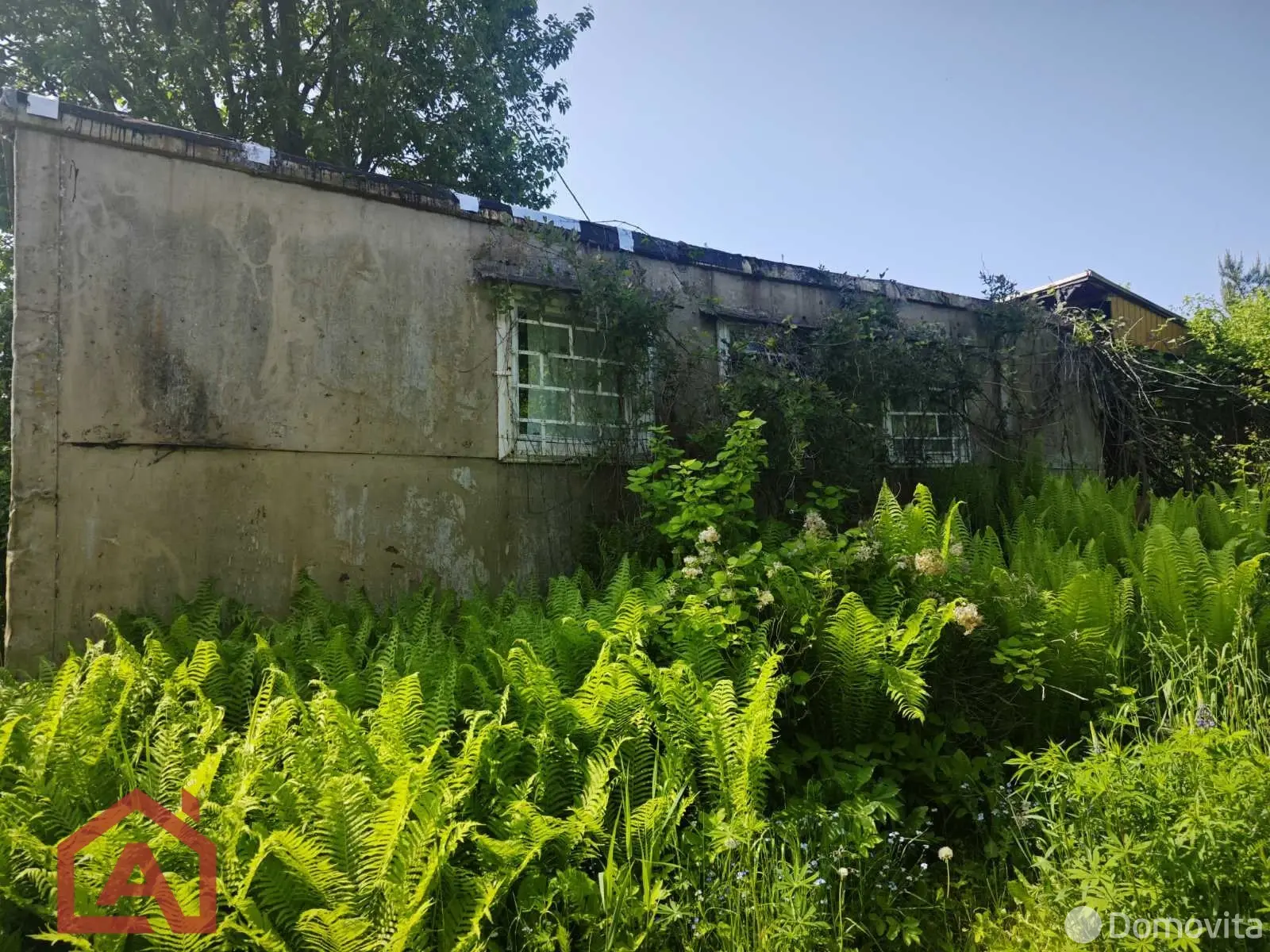 участок, Поляна, 