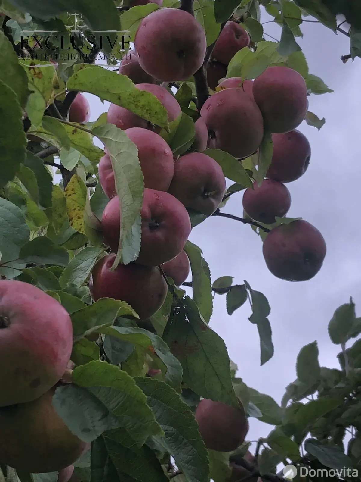 дача, Радуга, д. 51 