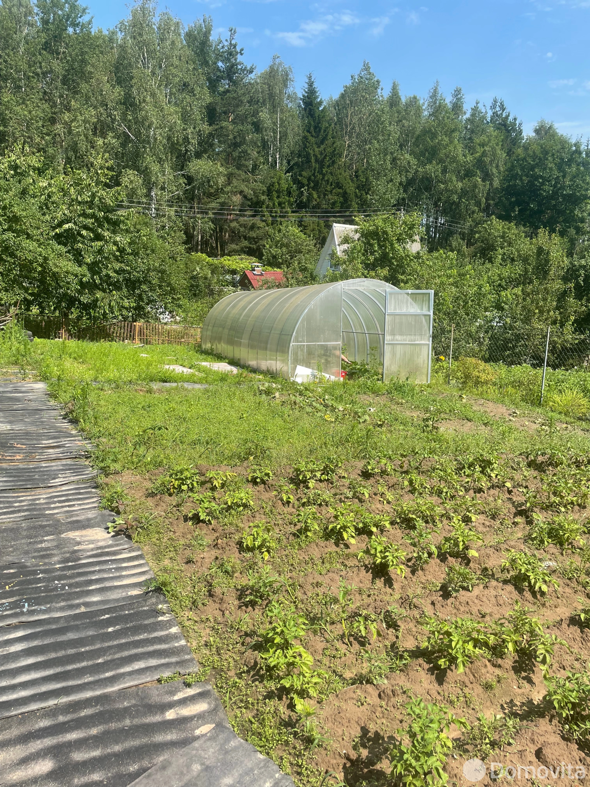 купить дачу, Шклов, ул. Лесная, д. 15