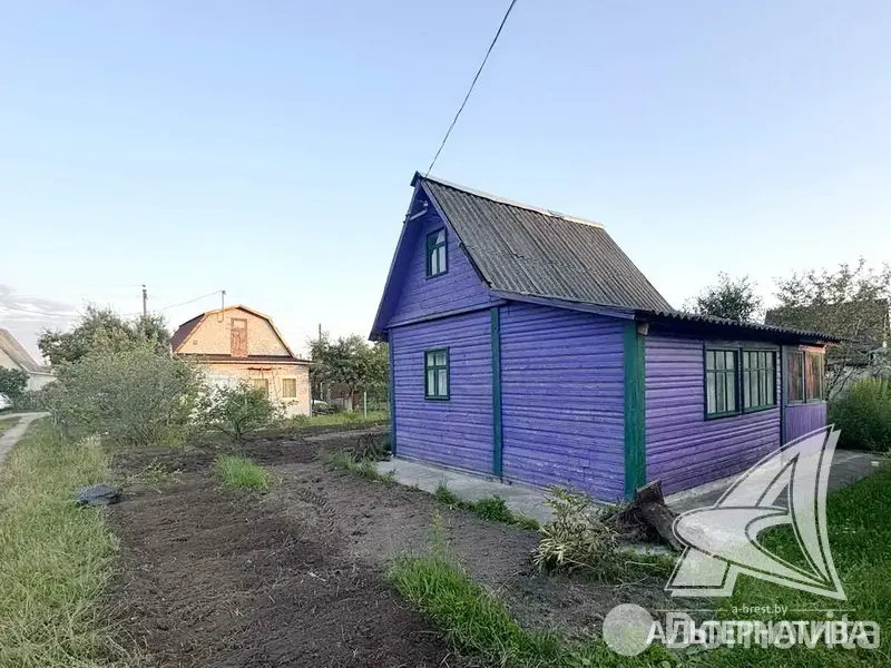 дача, Суница-80, 