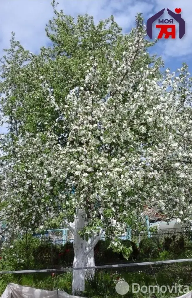 Купить 2-этажную дачу в Сельский строитель-2 Минская область, 42900USD, код 185476 - фото 28