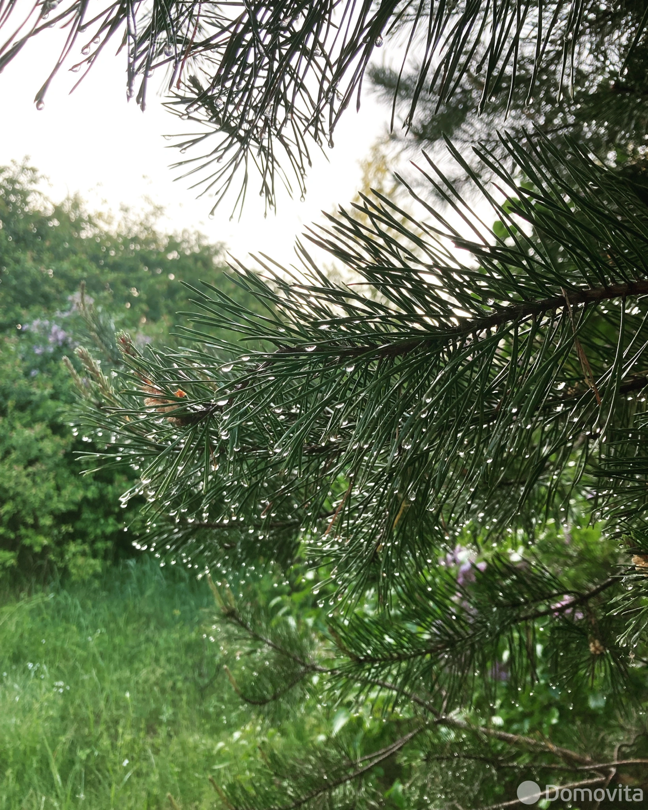 Аренда коттеджа Усадьба «Белый Кролик» на сутки в Петровцах ул. Цветочная , 750BYN, код 1357 - фото 21