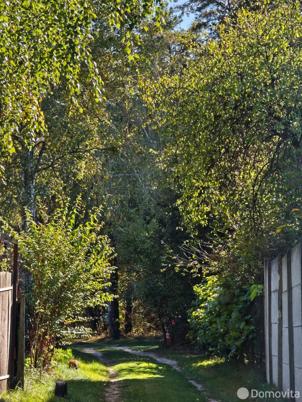 Купить 1-этажную дачу в Калинино Гомельская область, 19000USD, код 185669 - фото 23