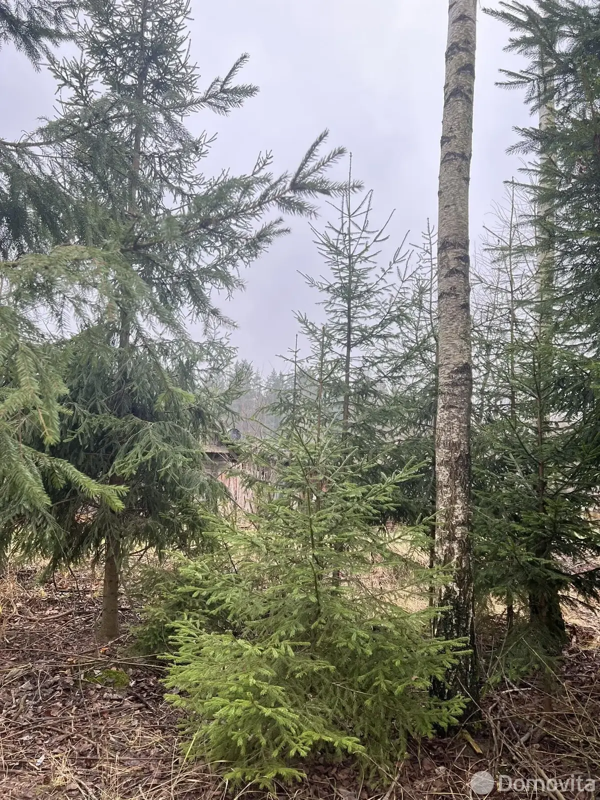 участок, Ровчак, 