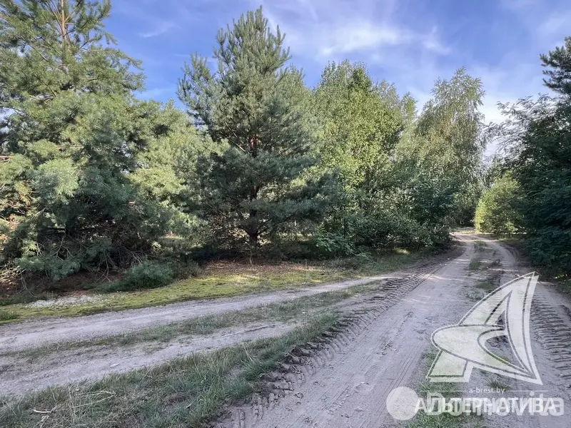 Купить земельный участок, 10.07 соток, Брест, Брестская область, 88550BYN, код 572407 - фото 21