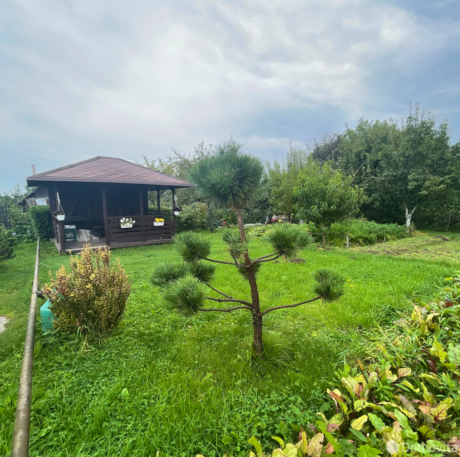 дача, Колосок, 