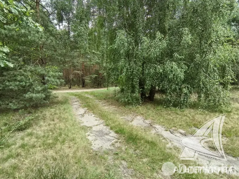 Купить 2-этажную дачу в Лаванда-Каменка Брестская область, 37000USD, код 183770 - фото 15