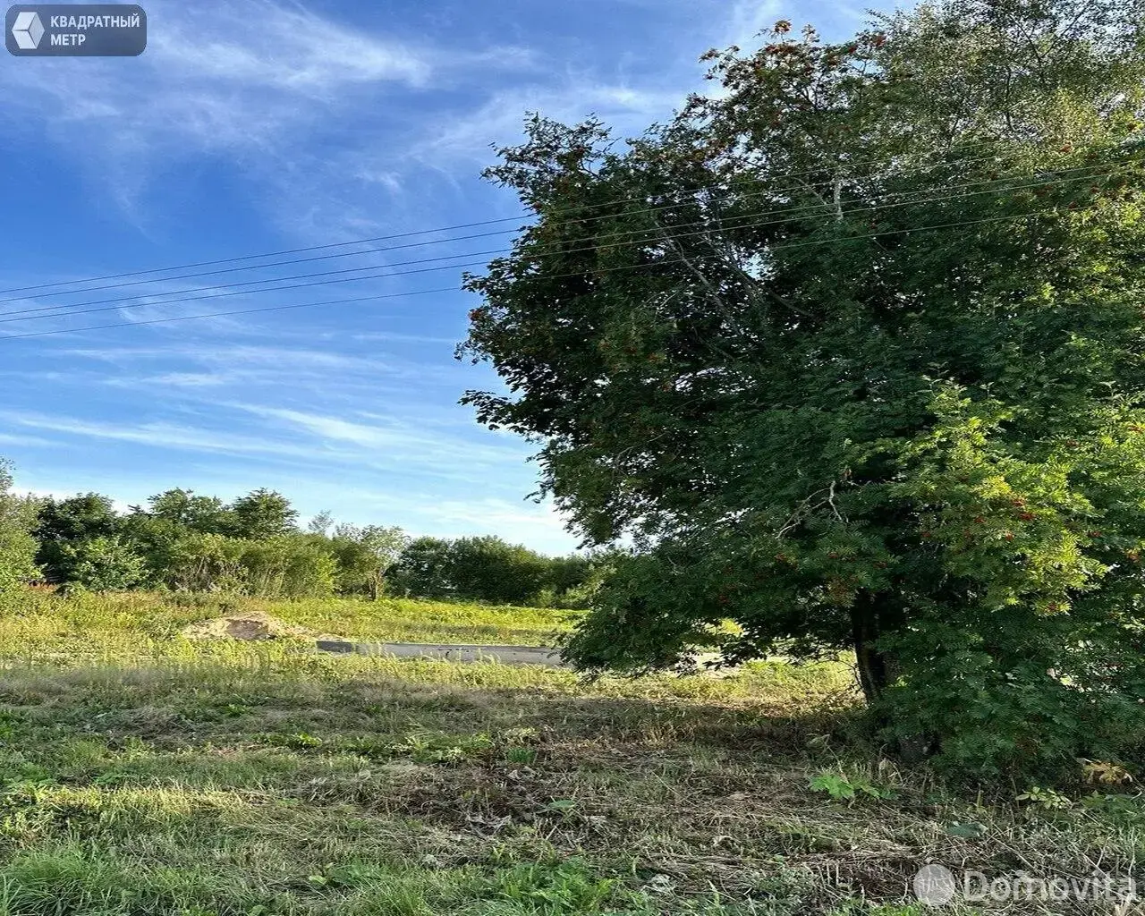 участок, Родевичи, ул. Нагорная 