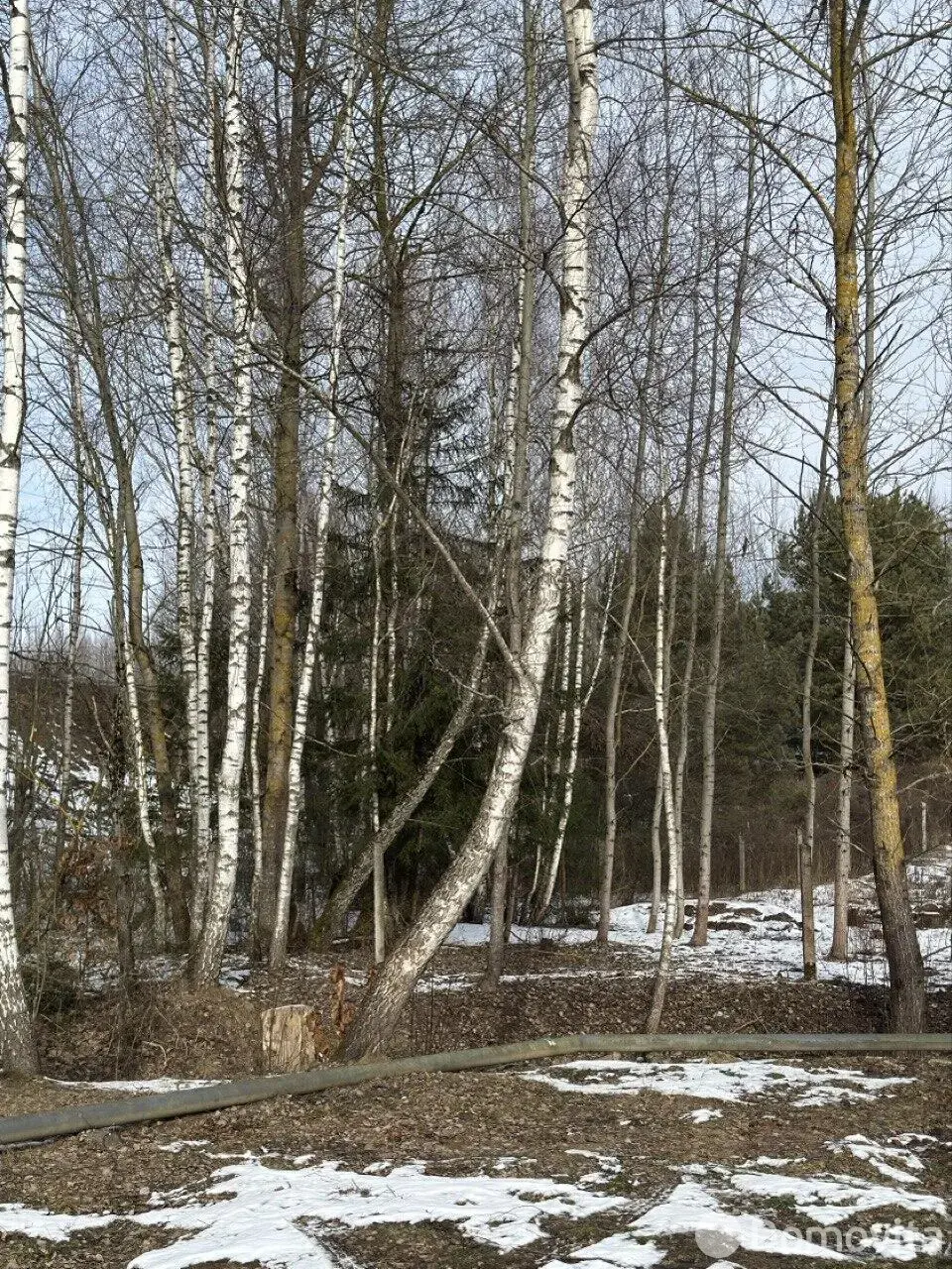 коттедж, Репортер, - лучшее предложение