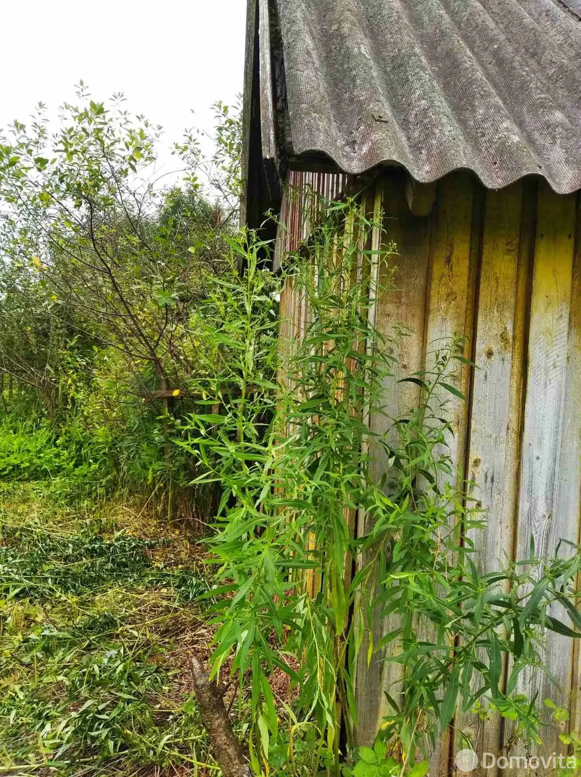 участок, Витебск, ул. 4-я Каменная, стоимость продажи 30 541 р.