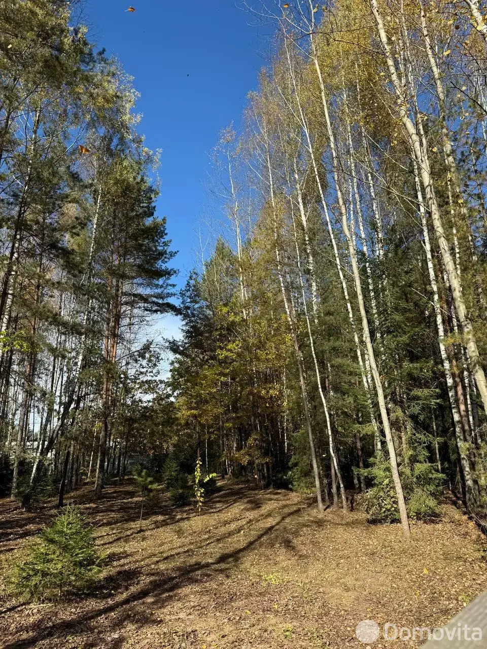 Стоимость продажи участка, Колодищи, ул. Алмазная