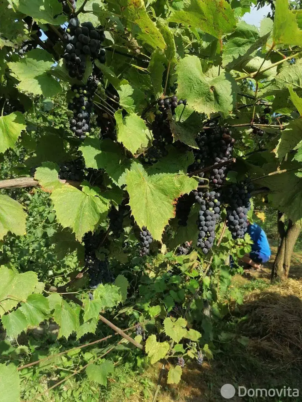 продажа коттеджа, Пытьковка, ул. Дорожная, д. 18