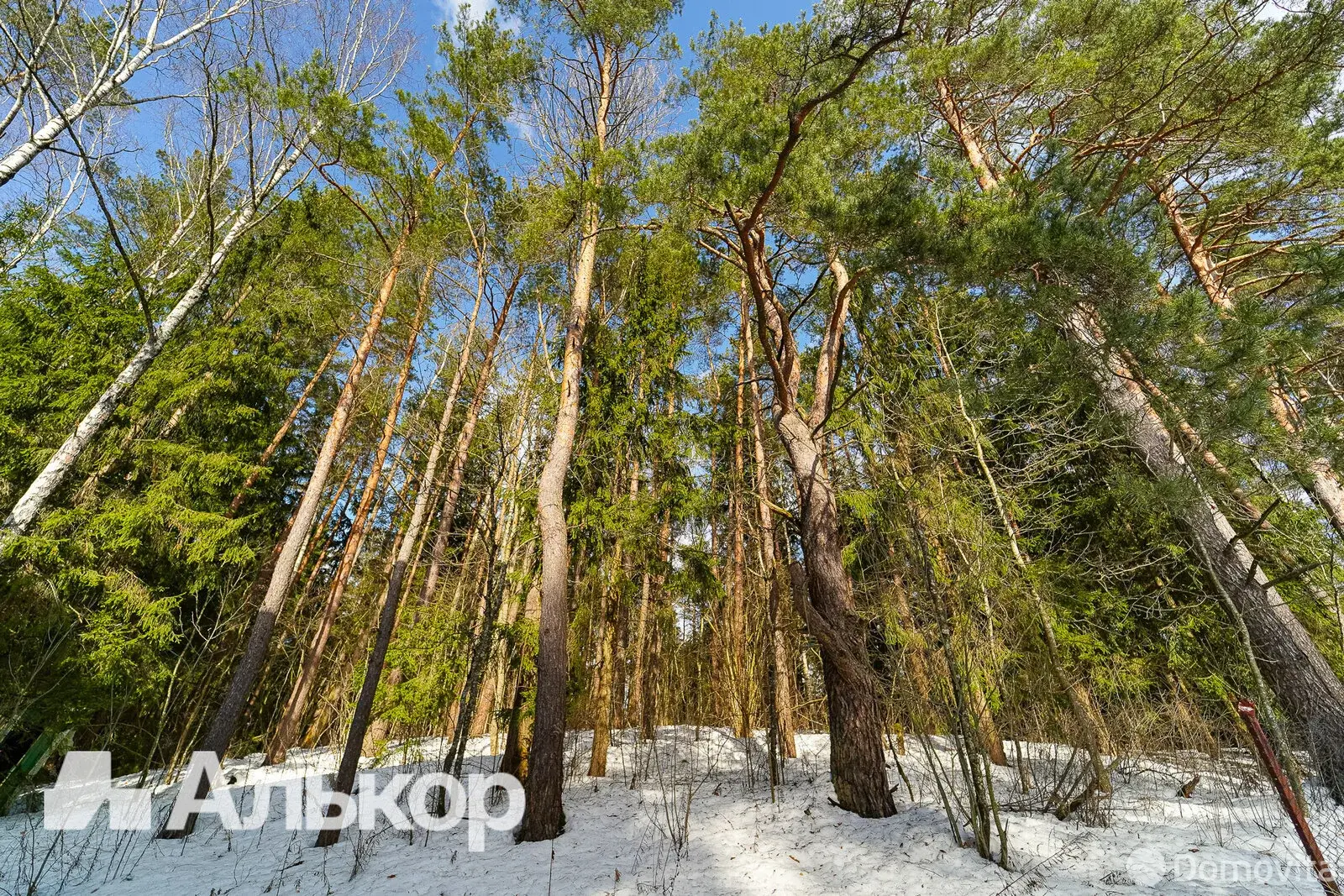 Купить офис на ул. Дубровская, д. 16 в Раубичах, 495000USD, код 10142 - фото 39