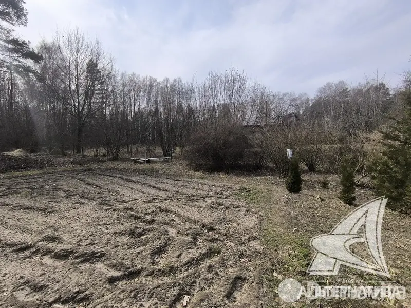 Купить 2-этажную дачу в Буг Жабинковского района Брестская область, 15000EUR, код 181980 - фото 19