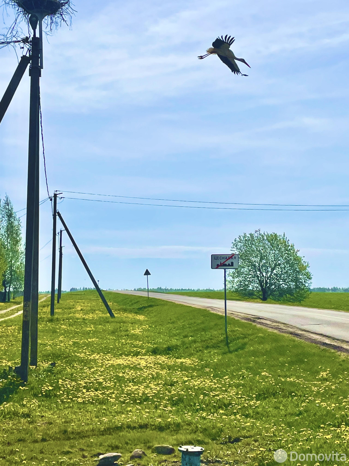 участок, Тесновая 2, ул. Центральная, д. 60
