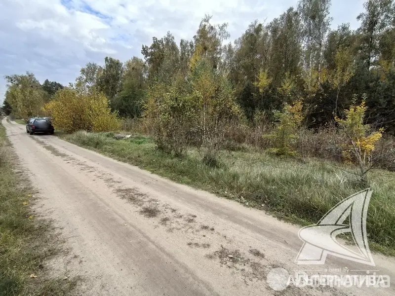 Продажа 1-этажной дачи в Березка-87 Брестская область, 13800USD, код 184383 - фото 19