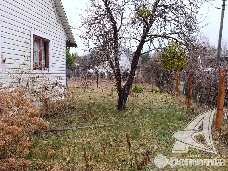 Купить 1-этажную дачу в Здоровье 2008 Брестская область, 15500USD, код 185353 - фото 21