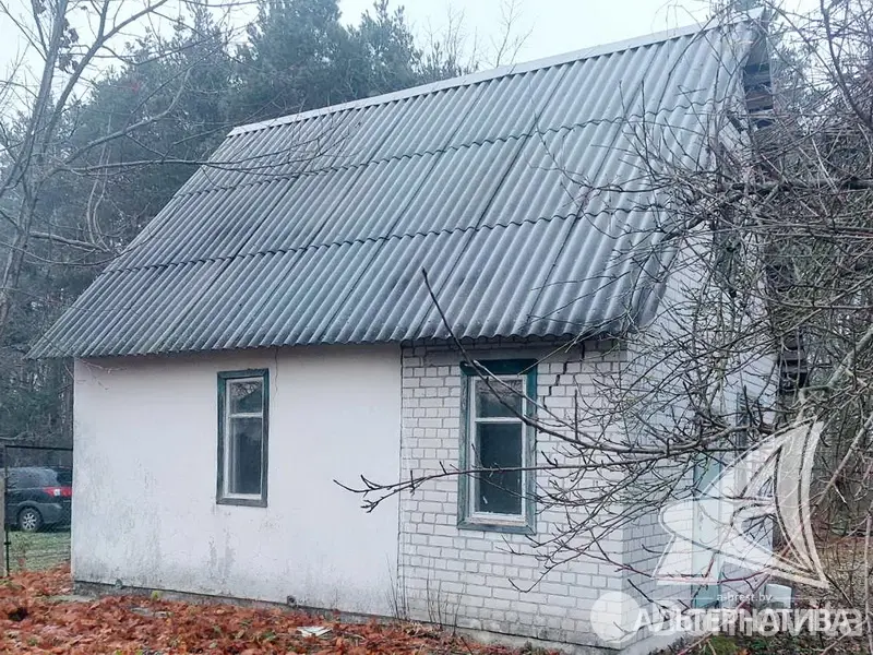 дача, Лесная поляна, 