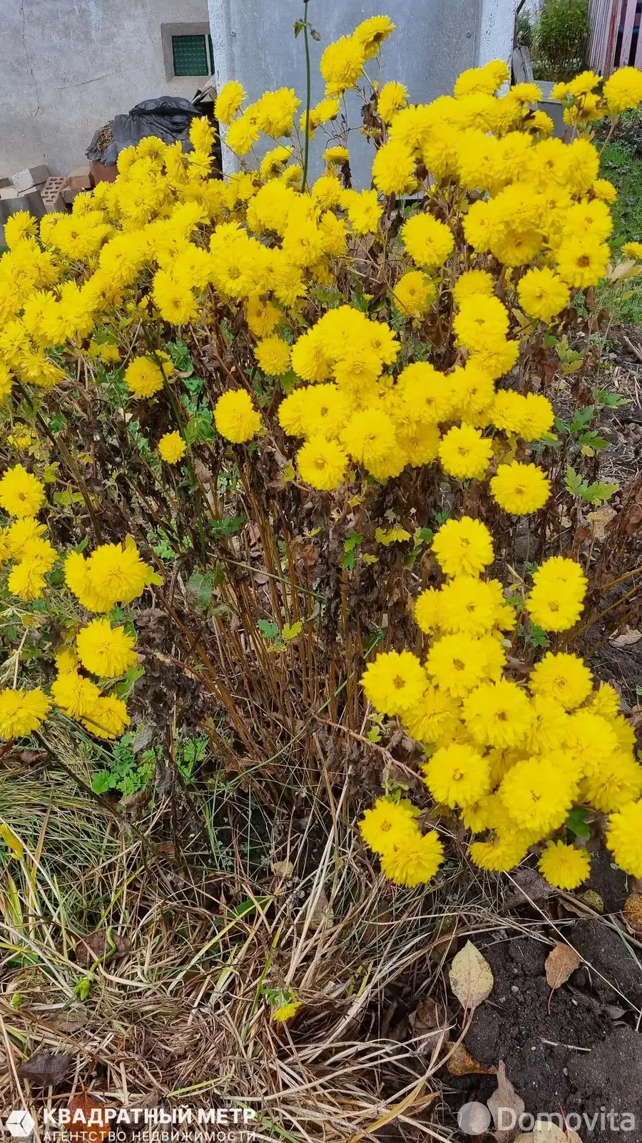 Продажа 2-этажной дачи в РОМАШКА-87 Минская область, 25000USD, код 184572 - фото 14