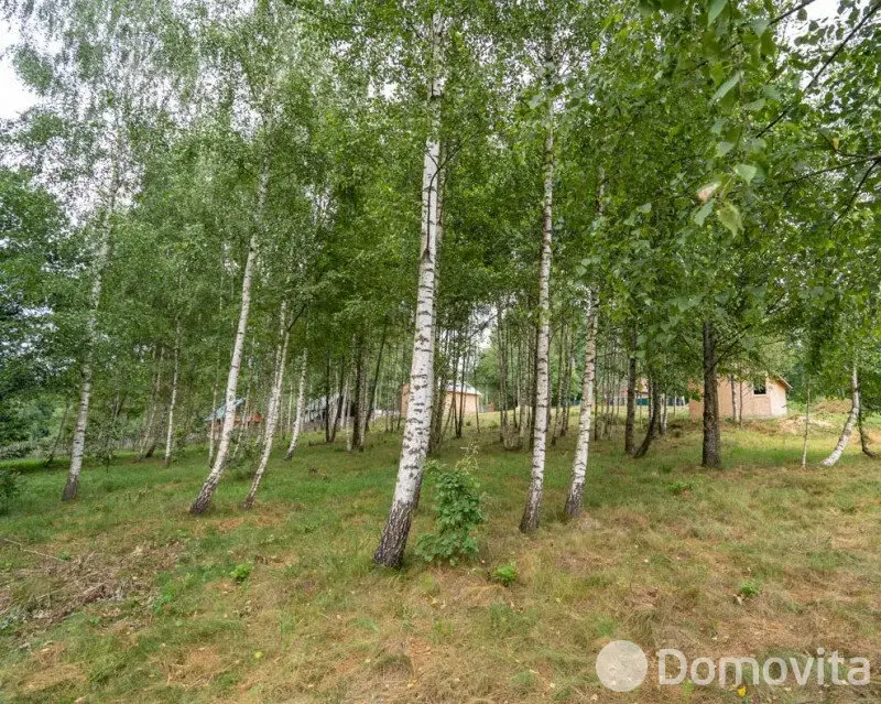 Купить земельный участок, 22.2 соток, Василевщина, Минская область, 21000USD, код 571953 - фото 13