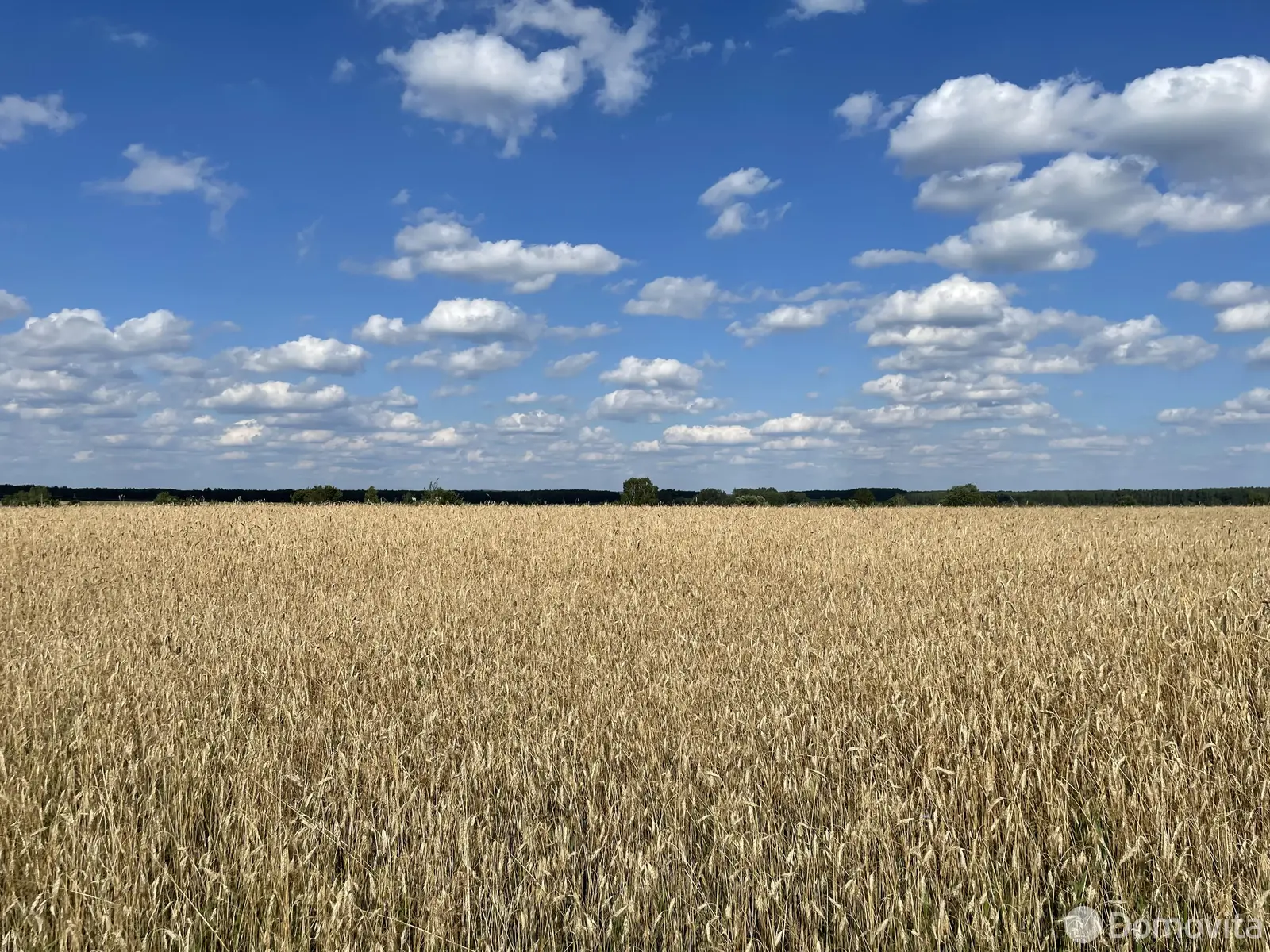 Купить земельный участок, 28 соток, Тесновая 2, Минская область, 11000USD, код 570810 - фото 15