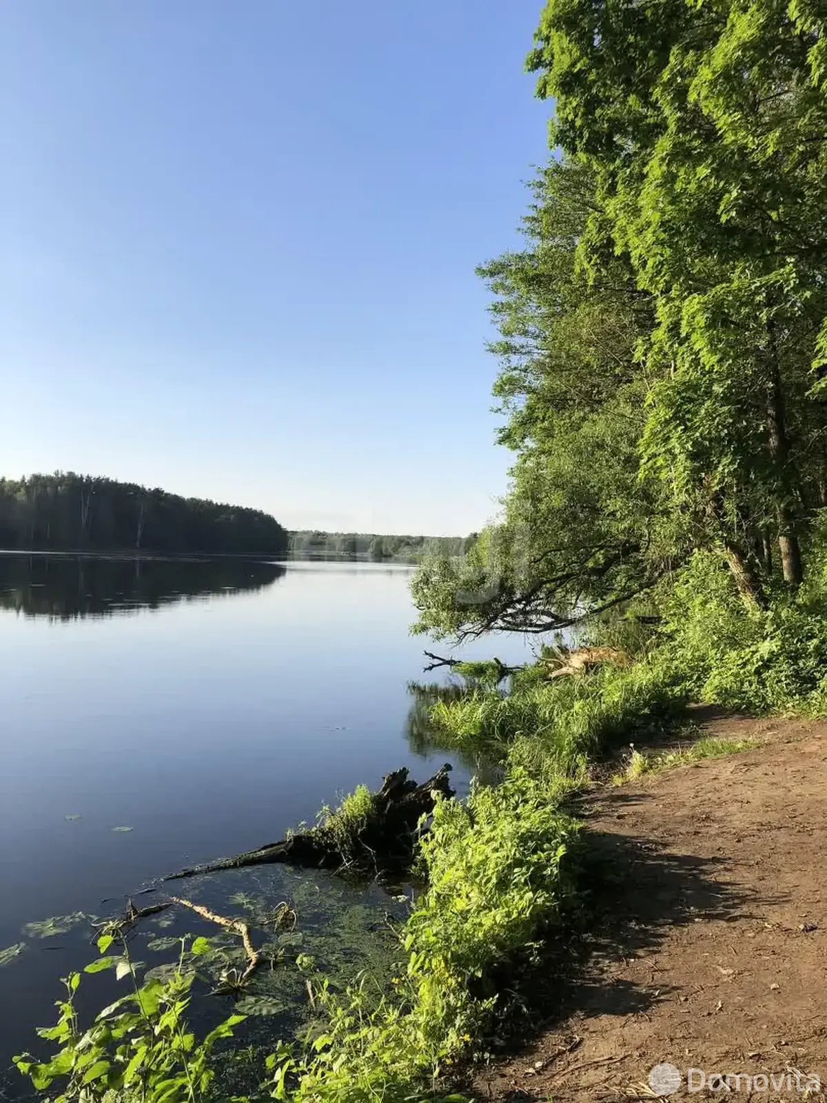 Купить 1-этажную дачу в Боровинка Могилевская область, 11800USD, код 183123 - фото 36