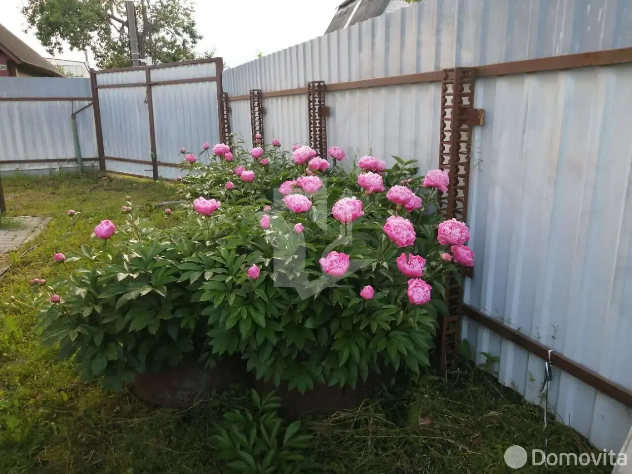 Купить 2-этажную дачу в Шарик Минская область, 17500USD, код 184475 - фото 18