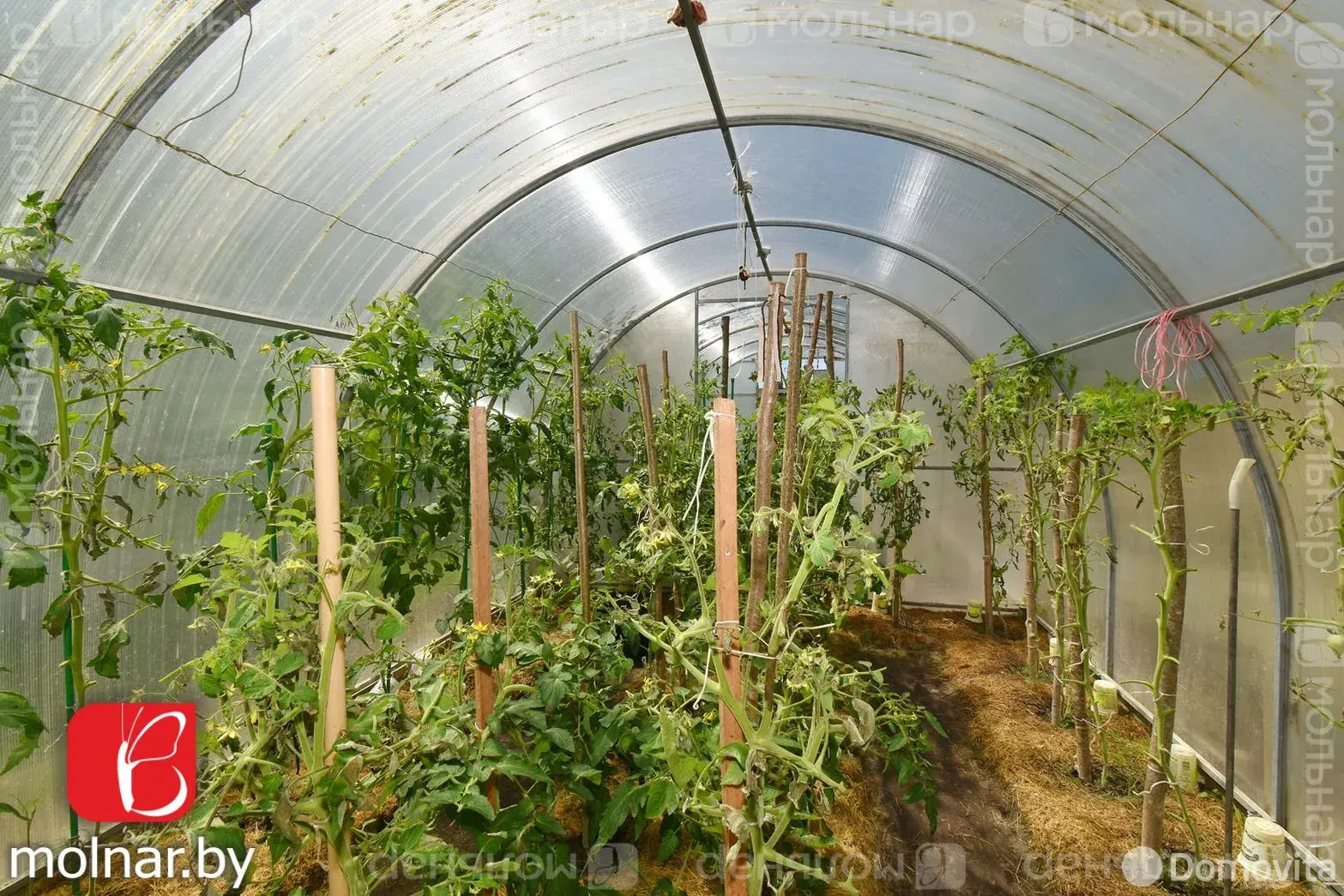 Купить 2-этажную дачу в Трактор-Колоницы Минская область, 35000USD, код 183462 - фото 38