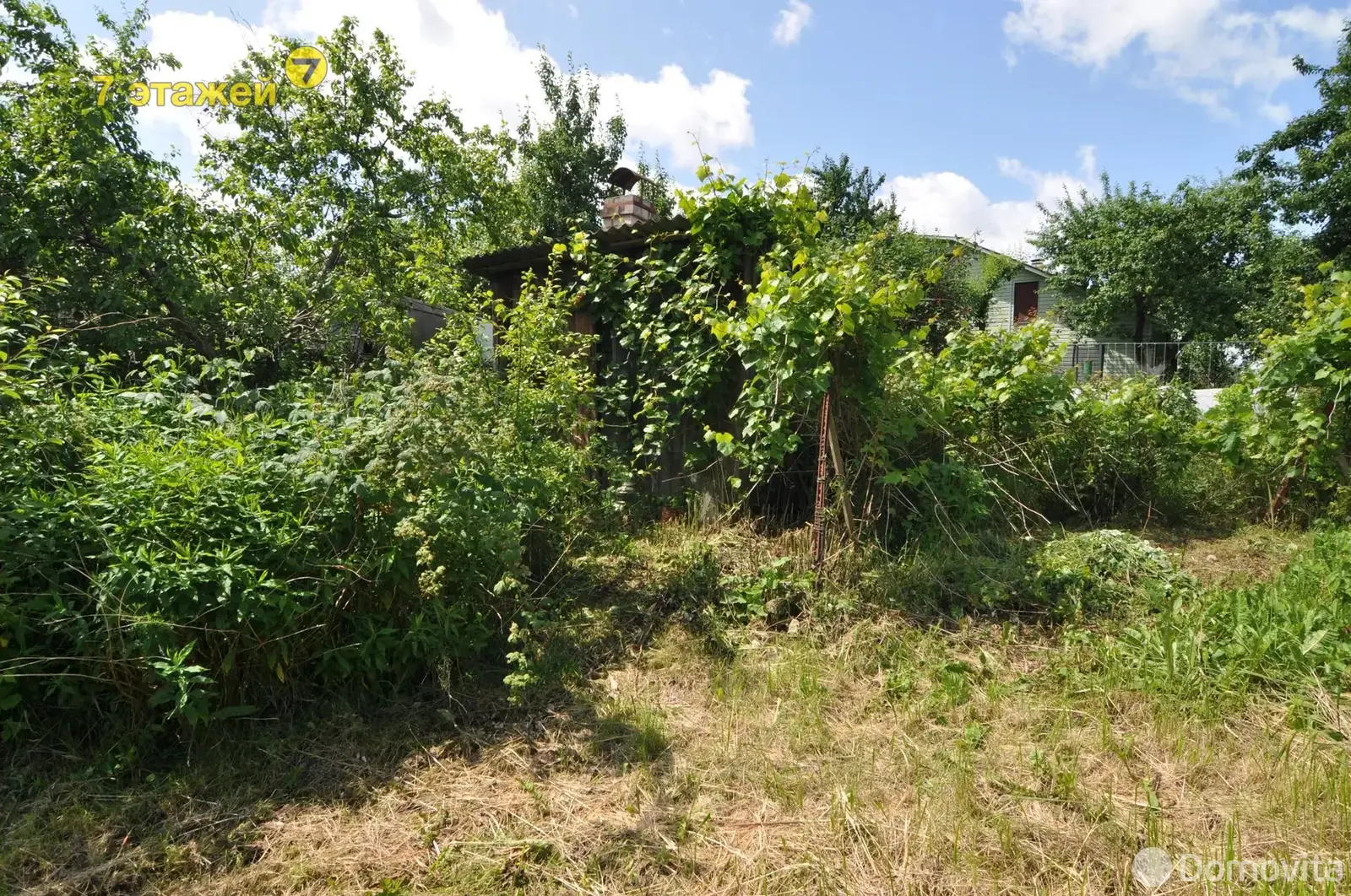 дача, Радуга, 