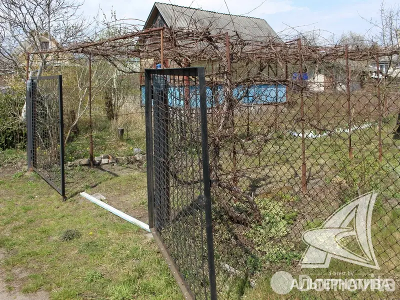 Купить 2-этажную дачу в Верасы-1 Брестская область, 21600USD, код 161957 - фото 21