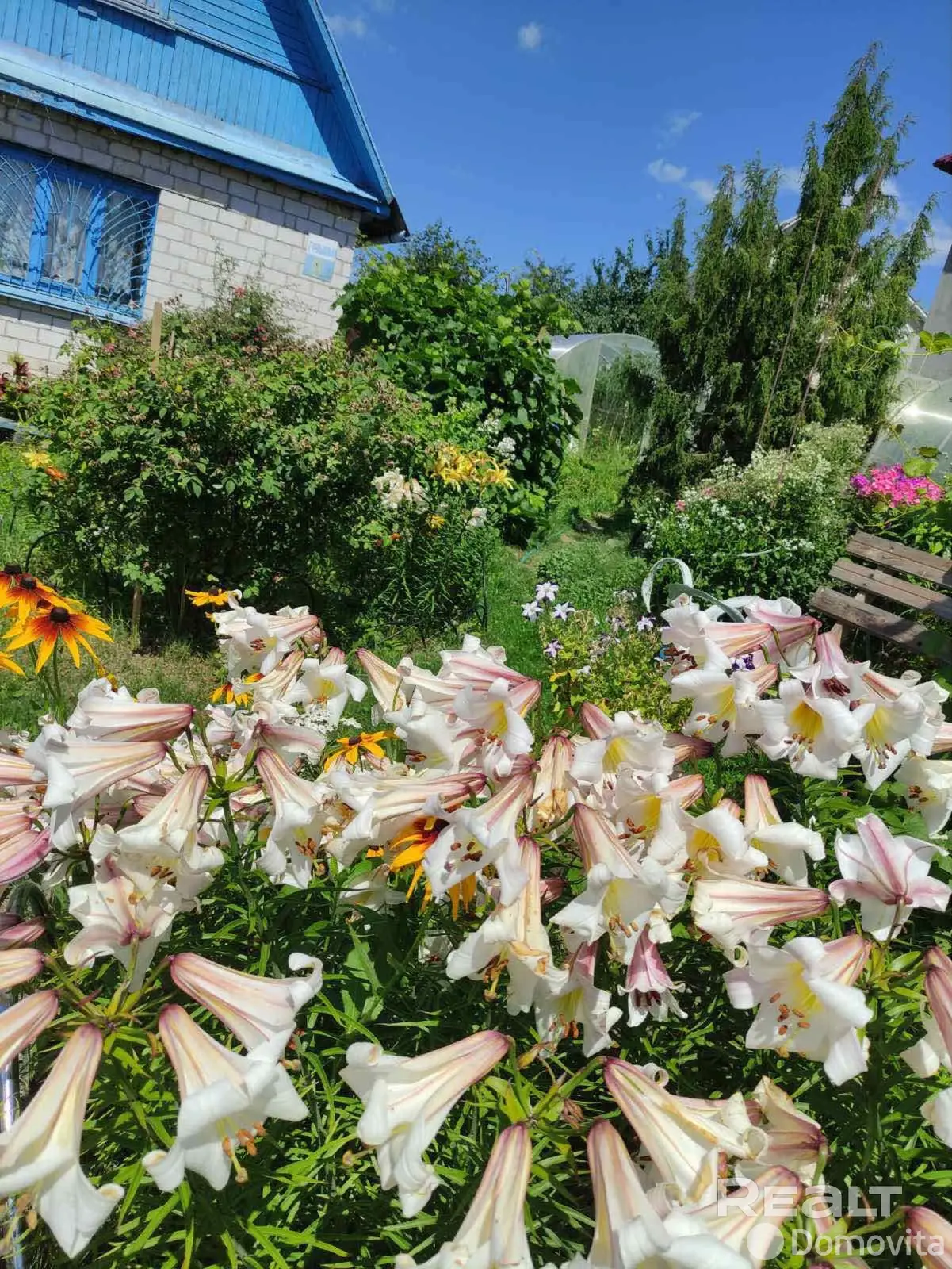 продажа дачи, Витебск, ул. 2-я Верхняя