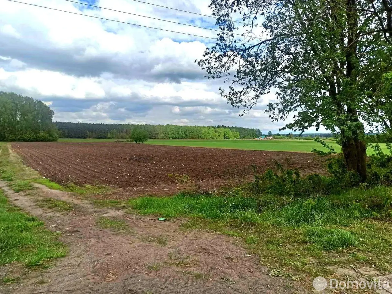 участок, Чеховцы, 