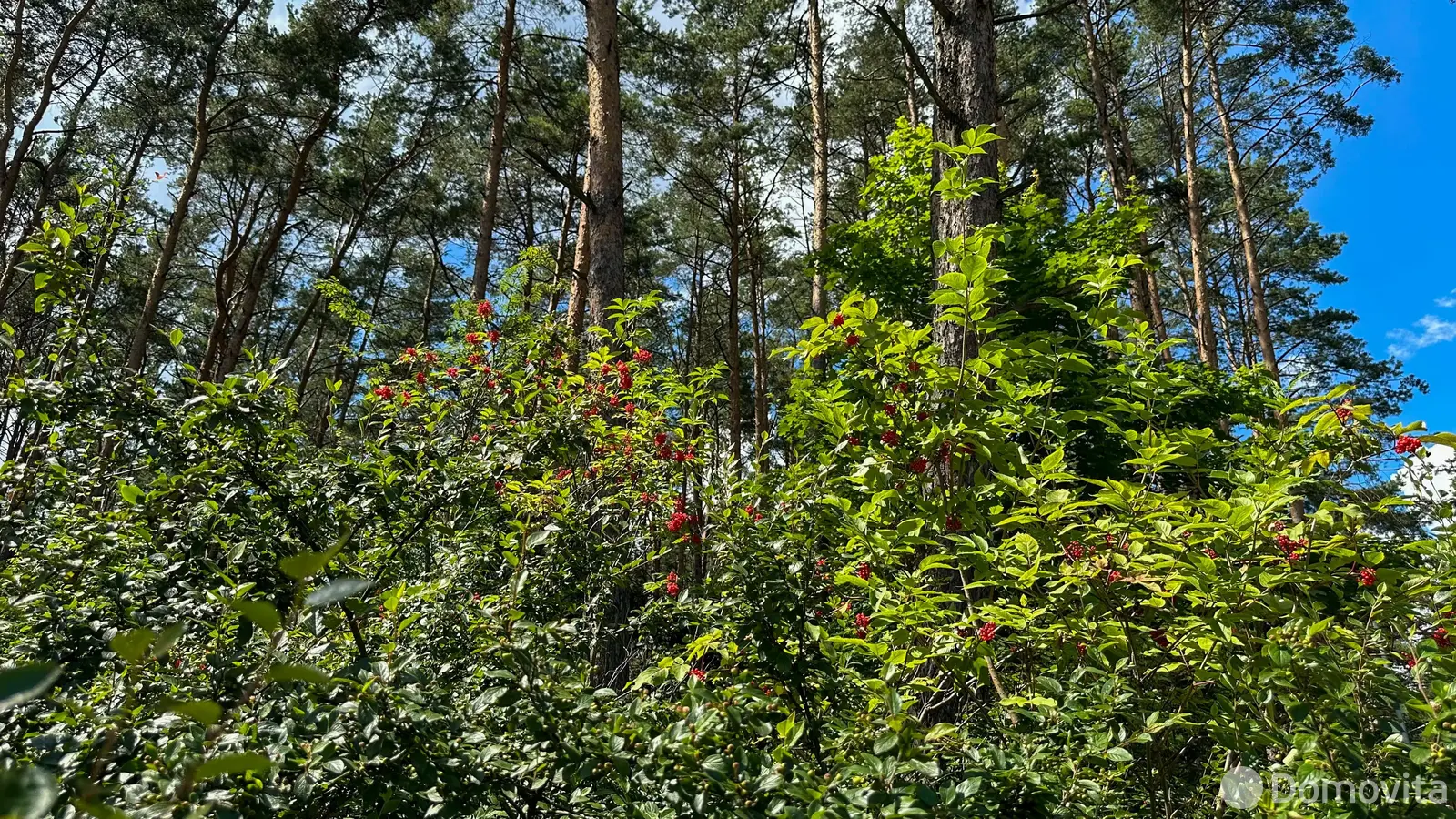 Купить земельный участок, 11.86 соток, Ждановичи, Минская область, 95000USD, код 570616 - фото 17