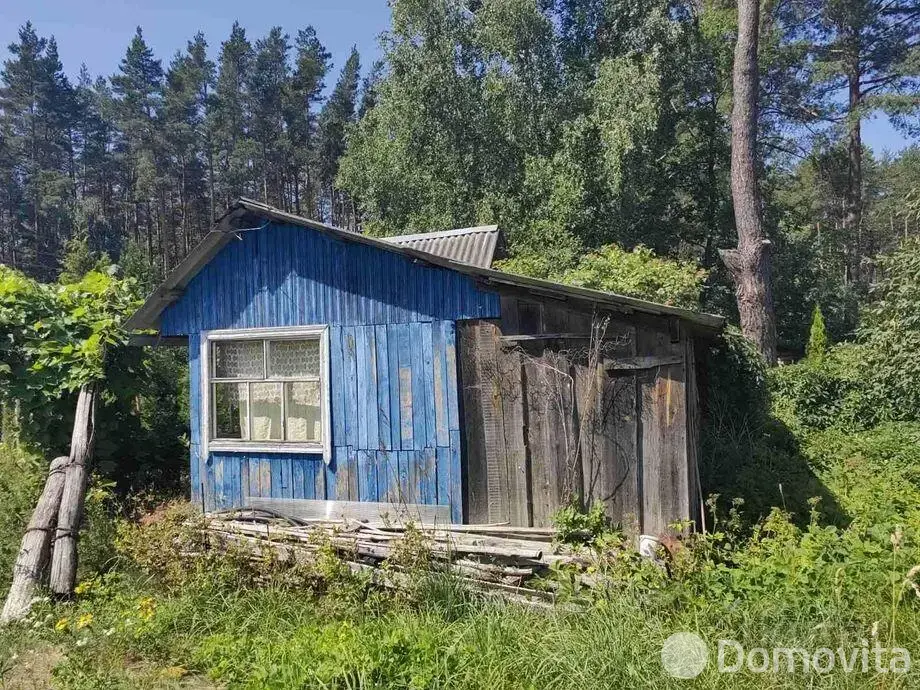 Продажа 1-этажной дачи в Нива-1 Минская область, 10000USD, код 183041 - фото 11