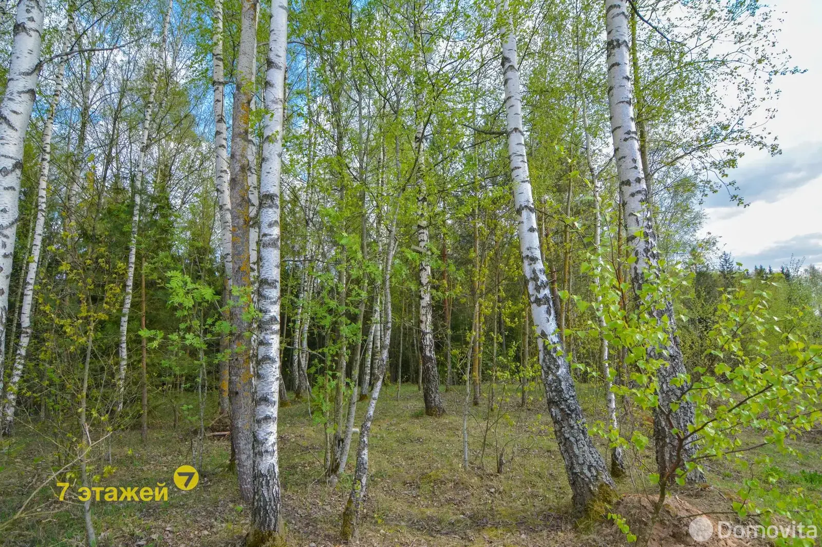 продажа участка, Ландыш 2005, 