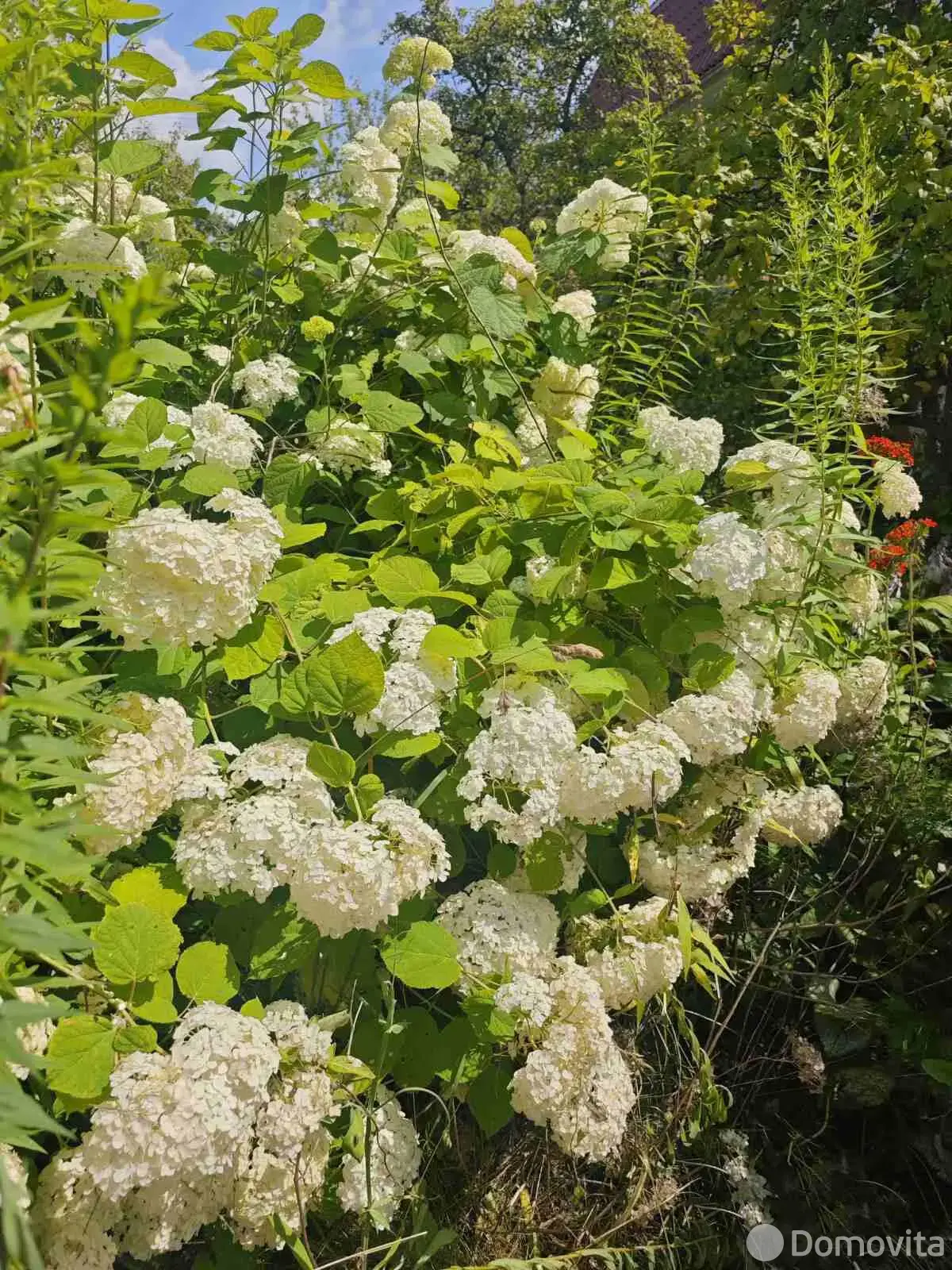 Продажа 2-этажной дачи в Горошках Гродненская область, 71300BYN, код 185852 - фото 12