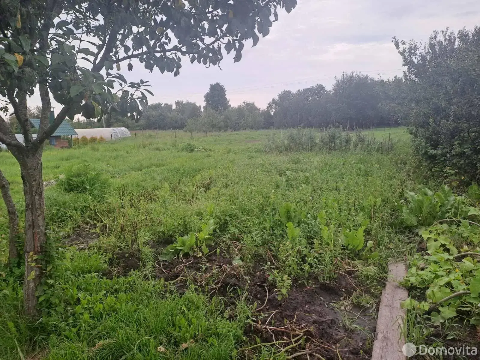 дом, Вязье, ул. Богдановича, д. 20, стоимость продажи 53 087 р.