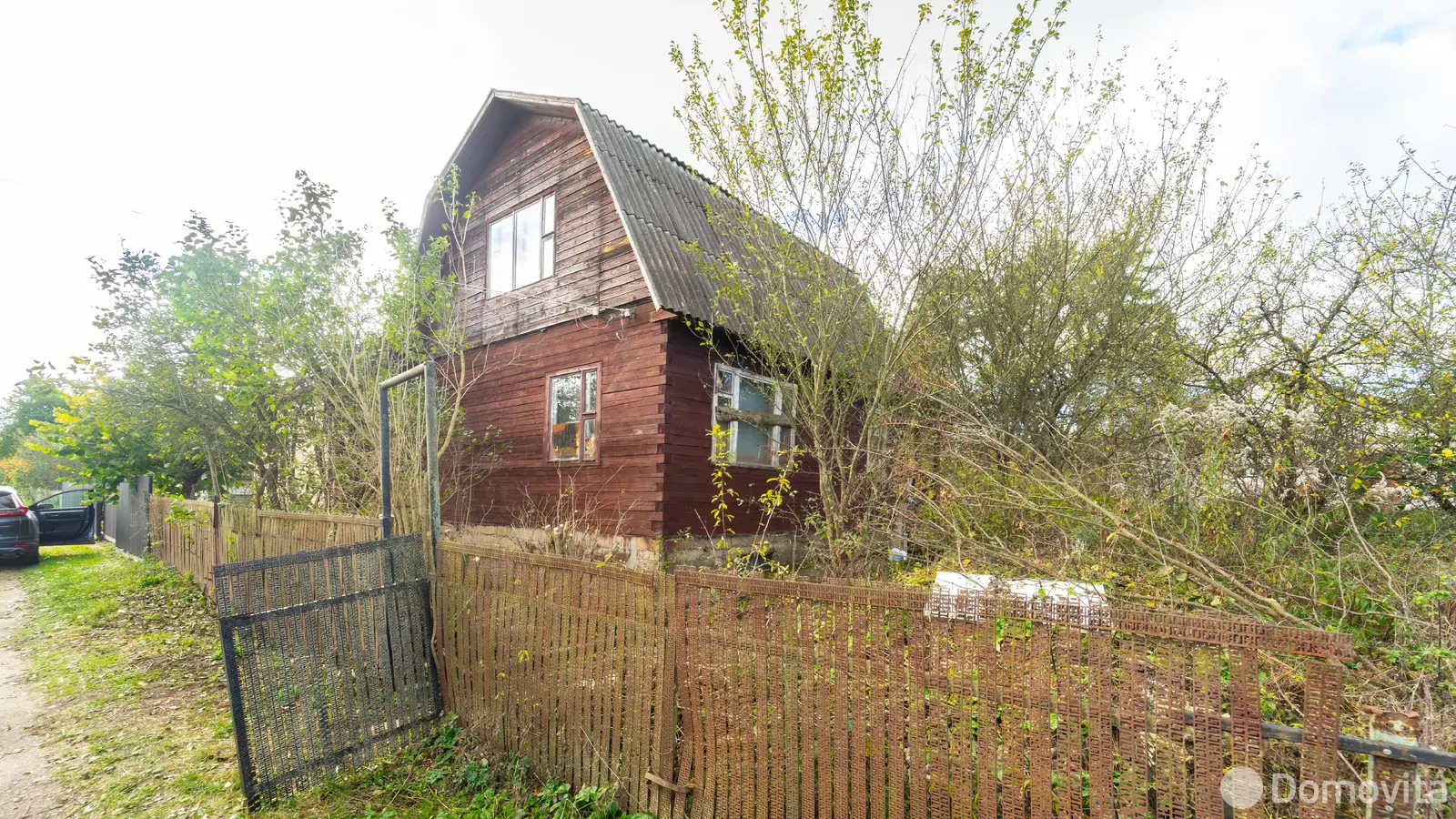 дача, Шарик,