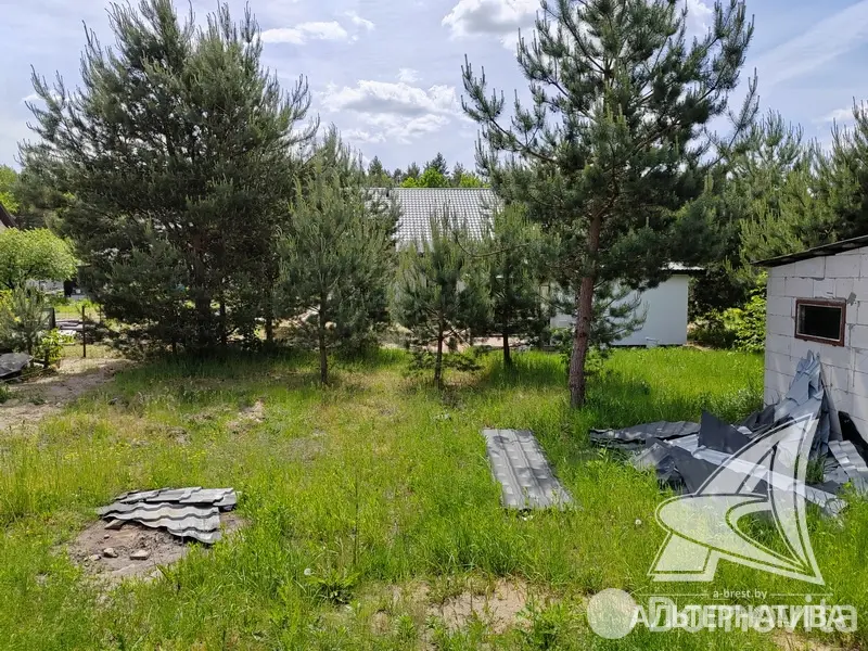 Продажа 1-этажной дачи в Росинка при Брестском ДЭУ-138 Брестская область, 216000BYN, код 185910 - фото 26