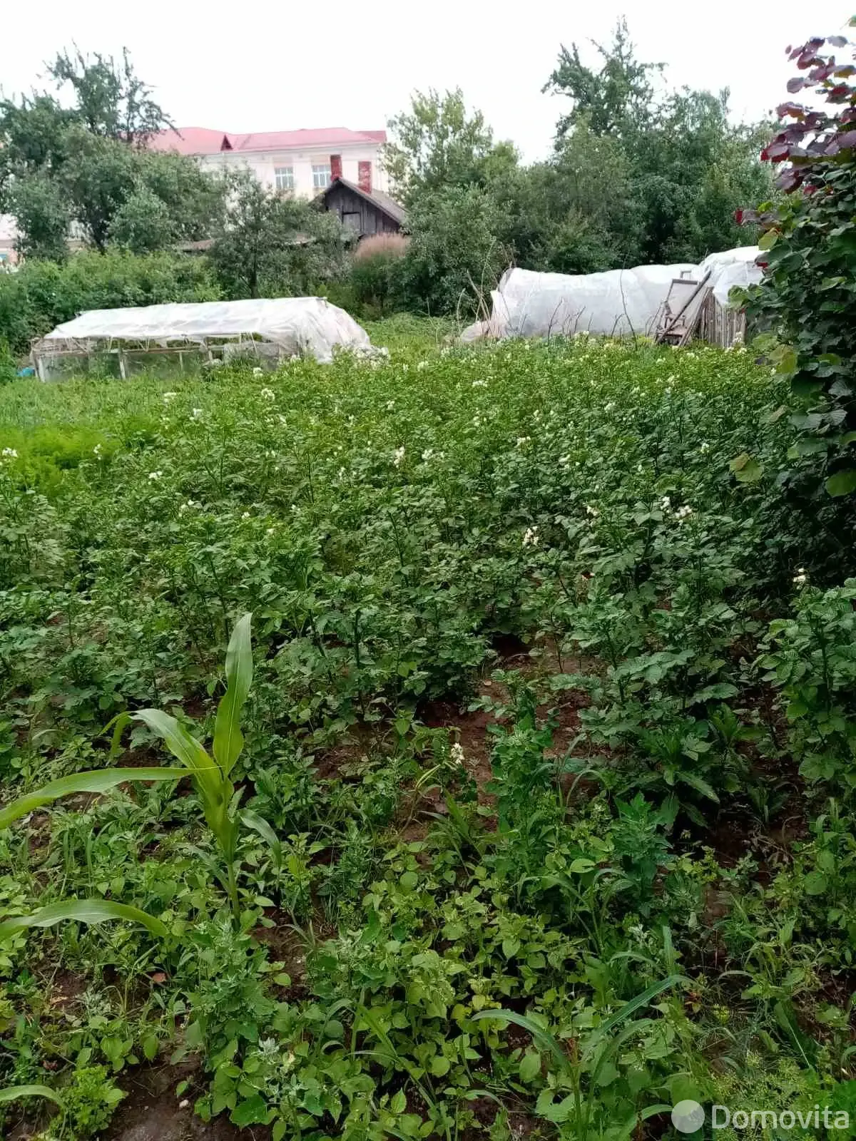 коттедж, Орша, пер. Климента Тимирязева