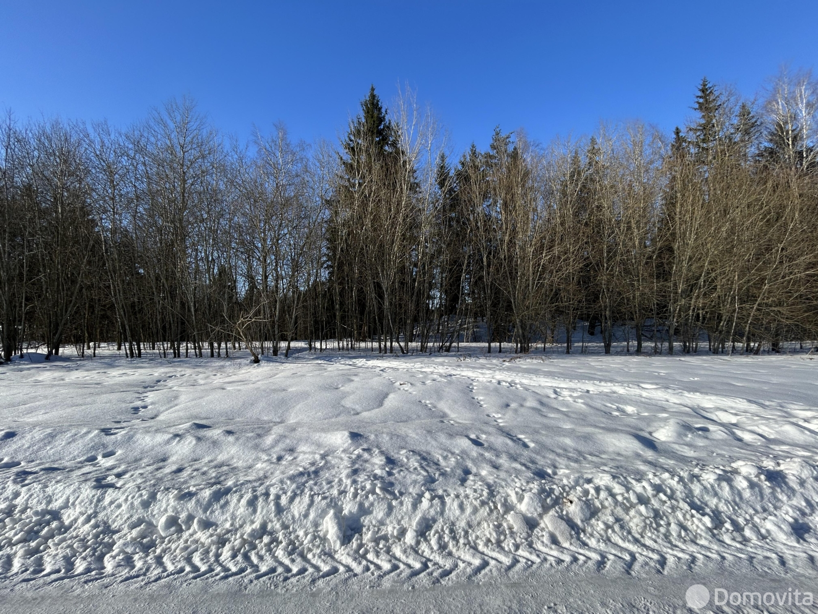 Купить земельный участок, 10.06 соток, Моя отрада, Минская область, 78000USD, код 571514 - фото 11