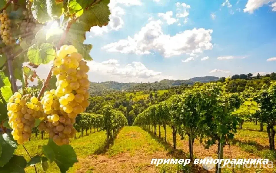 Купить земельный участок, 25 соток, Гиревичи, Минская область, 140000BYN, код 572242 - фото 33