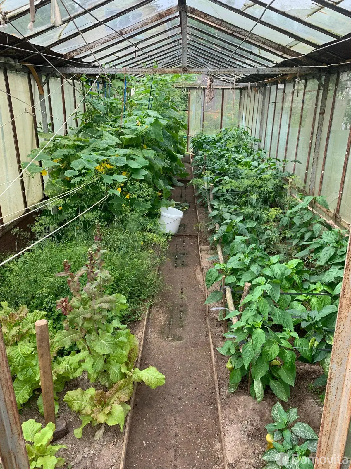 дача, СЯБРЫ-83, 