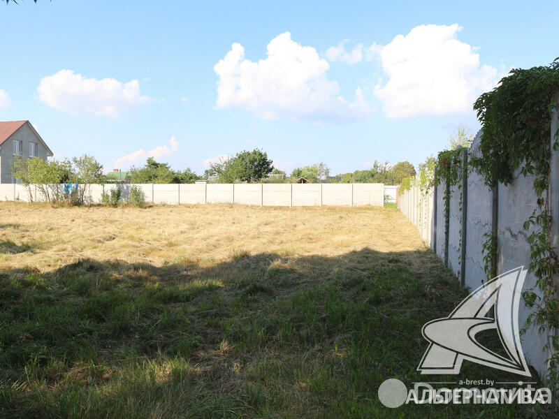 Купить земельный участок, 19.56 соток, Тельмы-2, Брестская область, 37500USD, код 566202 - фото 11