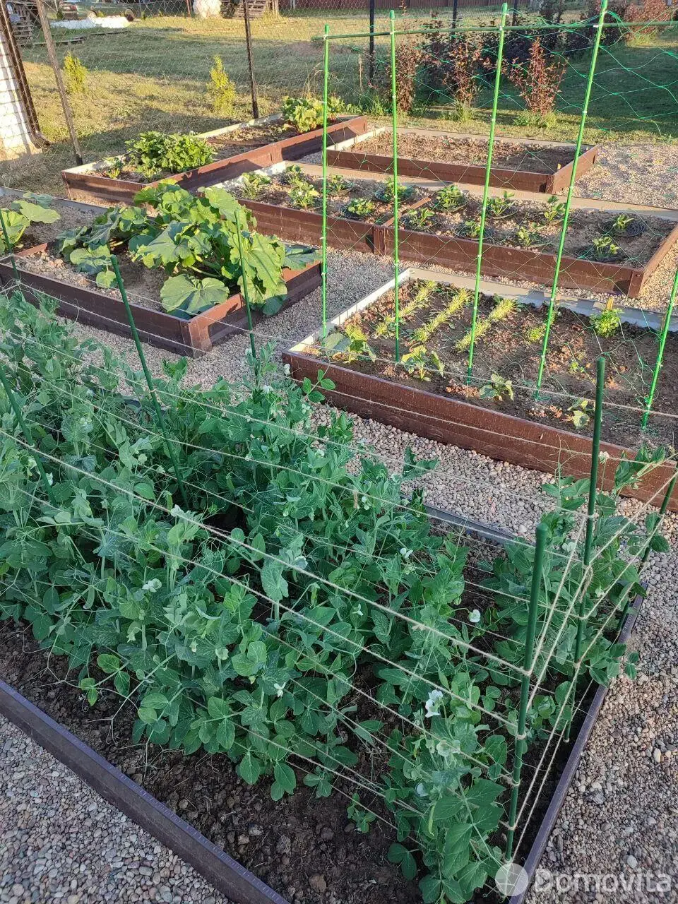 Купить 1-этажную дачу в Птичь-2 Минская область, 58000USD, код 184986 - фото 42