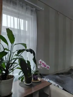 2-этажный коттедж, г. Гомель, ул. Салтыкова-Щедрина М.Е., д. 11